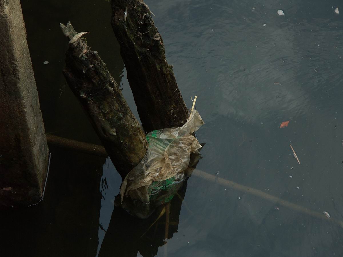 �x��L�S_��