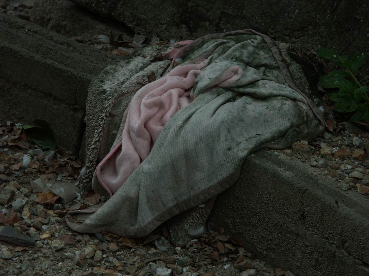 �x��L�S_��