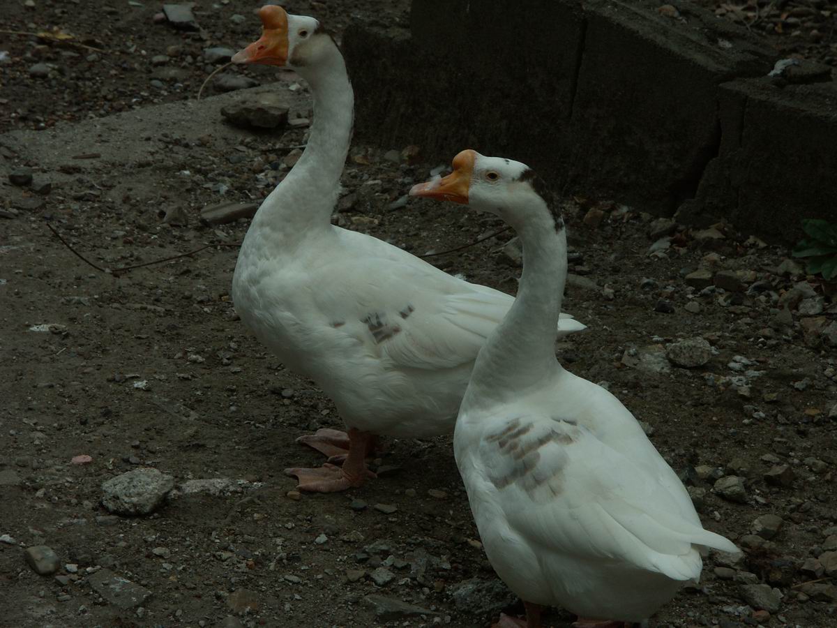 �x��L�S_��