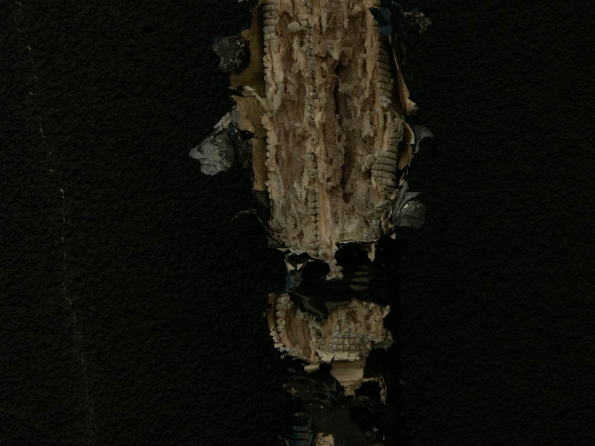 �x��L�S_�d