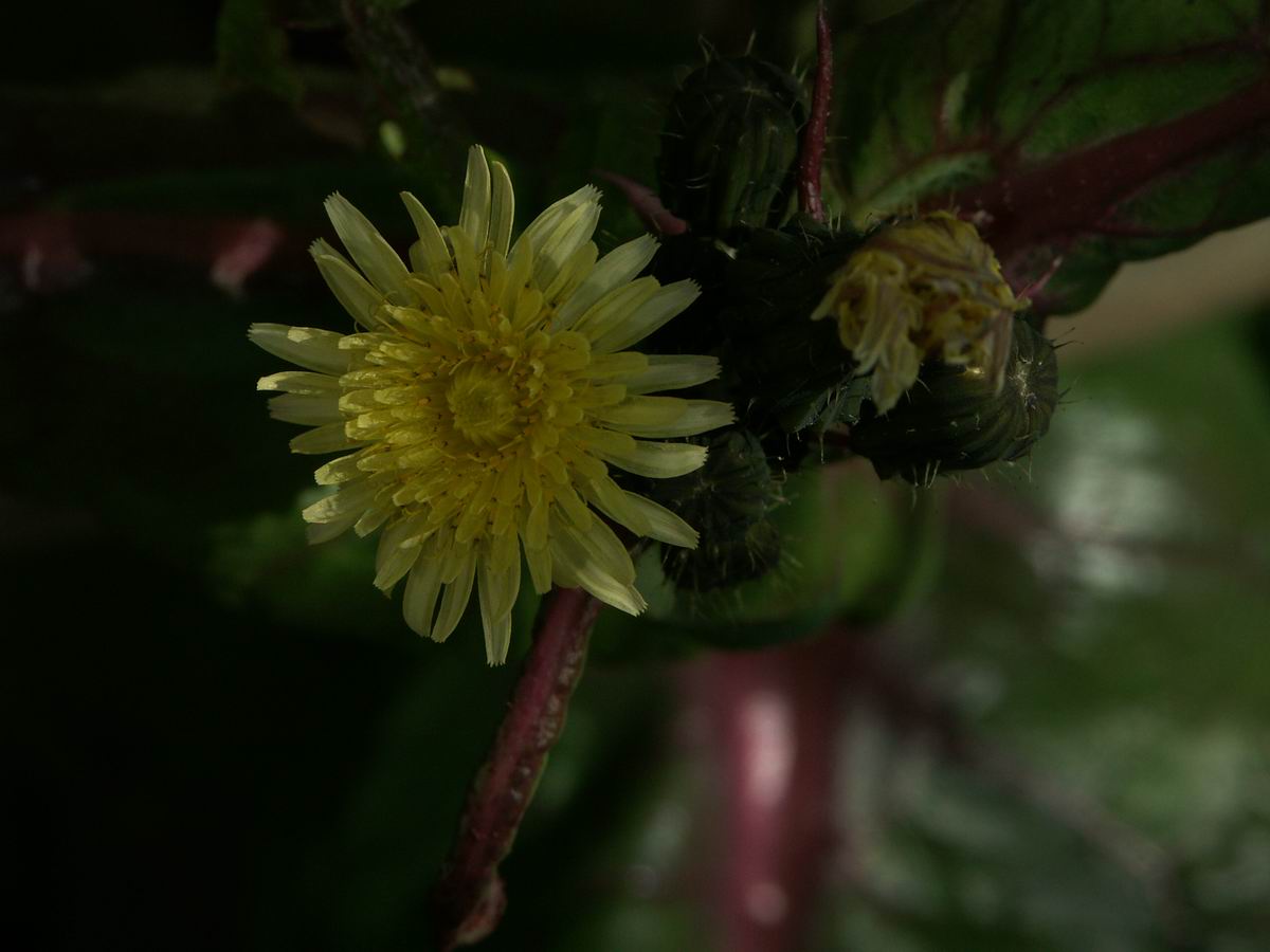 �x��L�S_�d