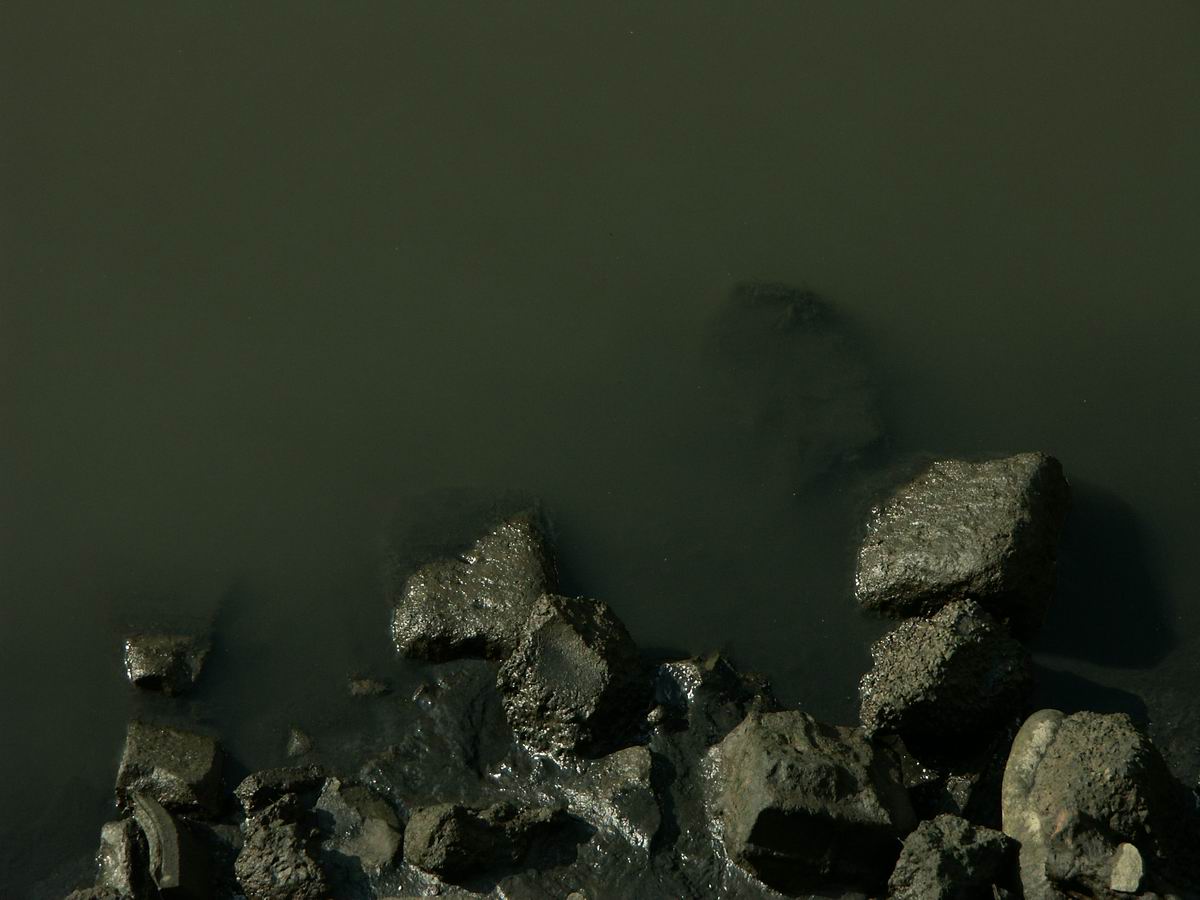 �x��L�S_�d