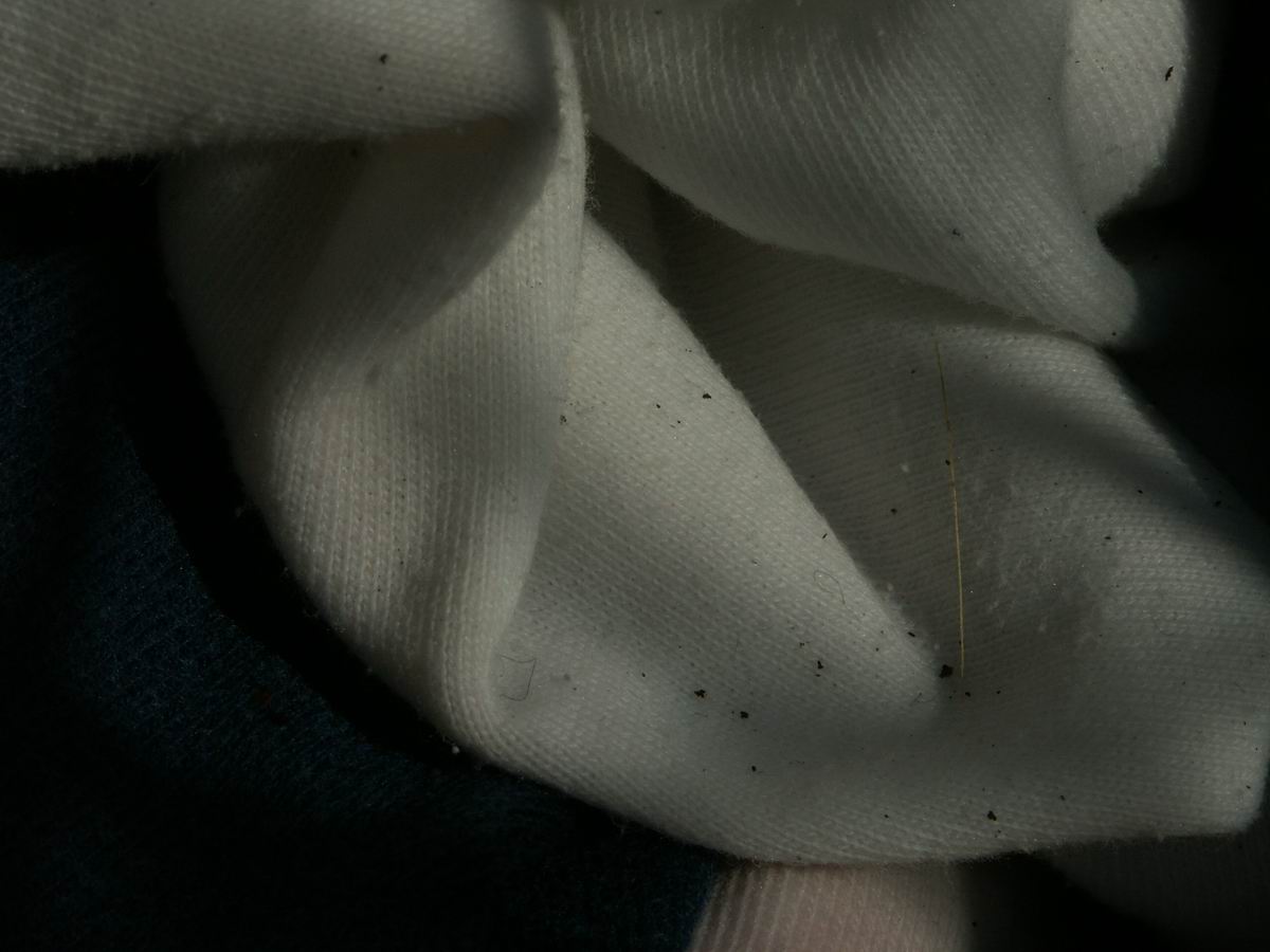 �x��L�S_�d