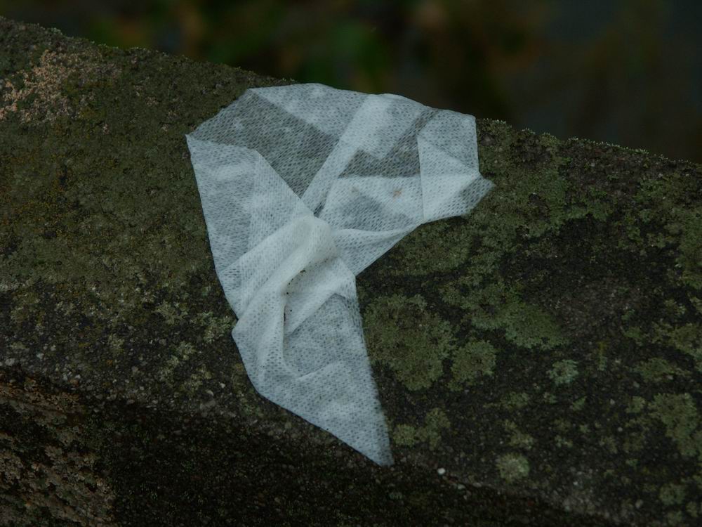 �x��L�S_��