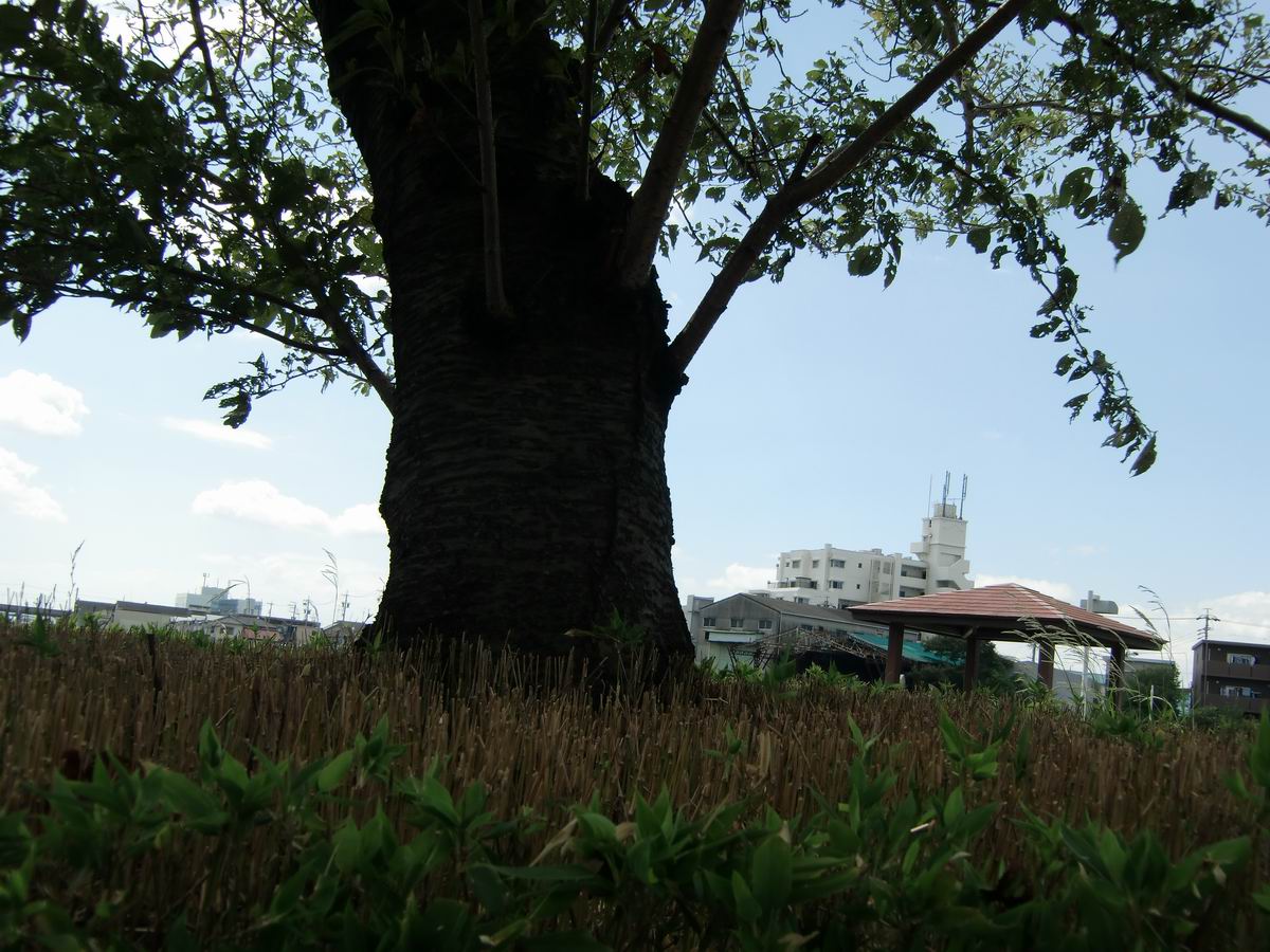 �x��L�S_��