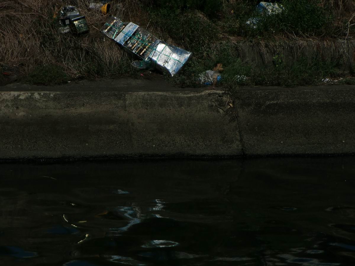 �x��L�S_��