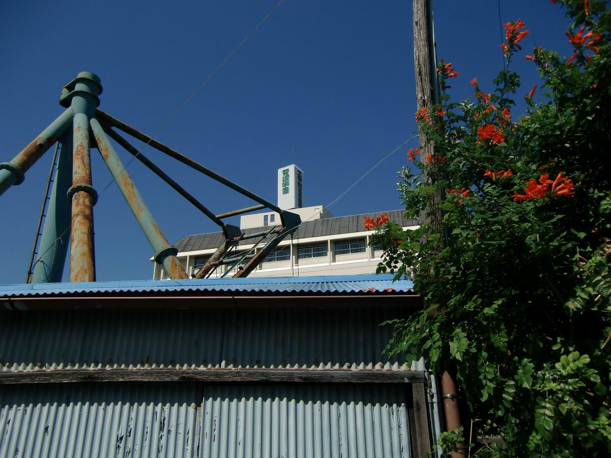 �x��L�S_��