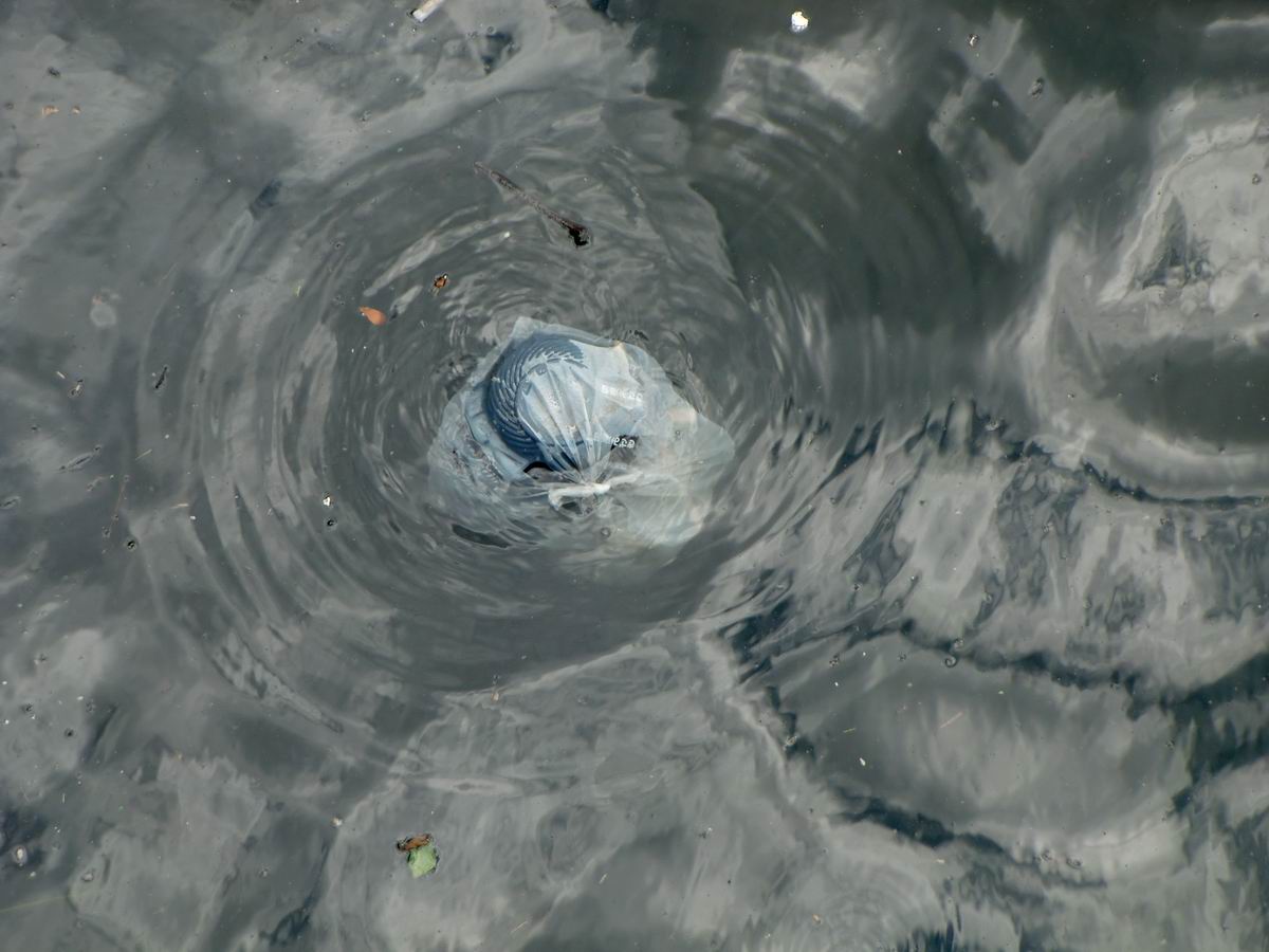 �x��L�S_��