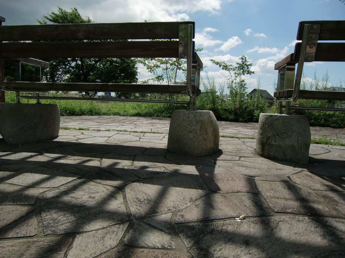 �x��L�S_��