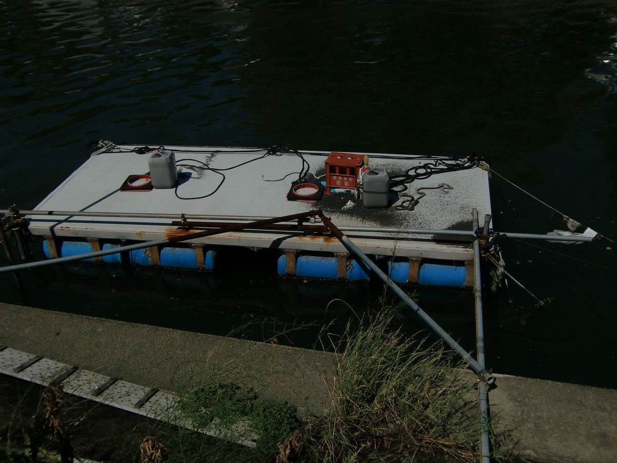 �x��L�S_��